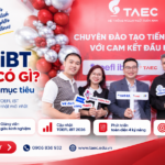 Khóa Học TOEFL iBT Tại TAEC Có Gì? Lộ Trình Học Theo Mục Tiêu